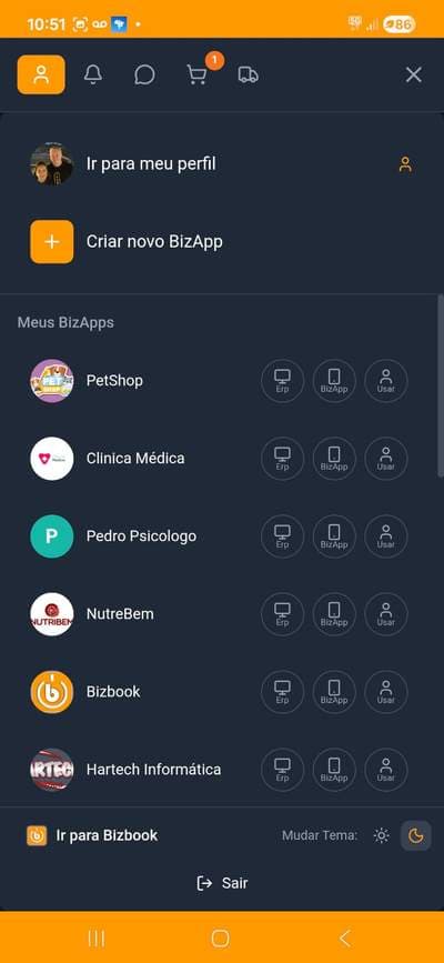 Tela mostrando múltiplos negócios em uma conta Bizbook